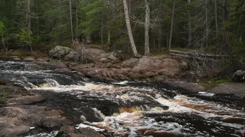Amnicon Falls State Park Vídeo Stock 310682222