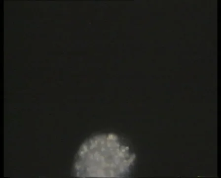 Amoeba CU2-JPEG 75 PAL 스톡 동영상 3136013