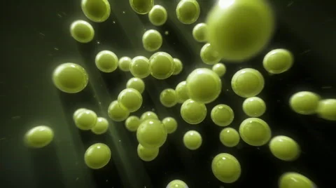 Amoeba Evolution. Stock Footage