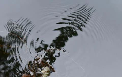 The amoeba making patterns on the water surface in Sapporo Japan Stock-Fotos