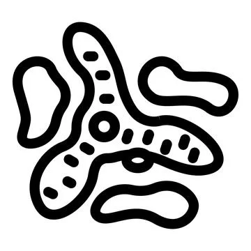 Amoeba proteus multiplying by binary fission, showing two nuclei and cytopl.. Stock Illustration