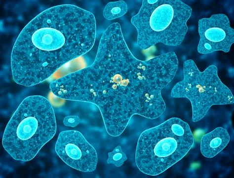 Amoebas on abstract blue background Stock Illustration