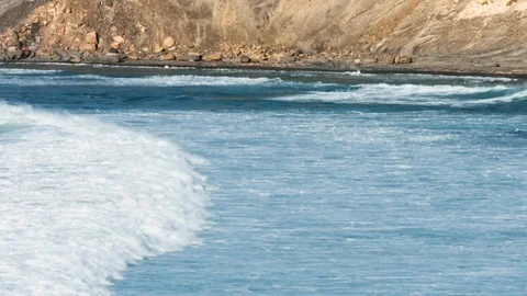 Amoeira Stock Footage 104700778