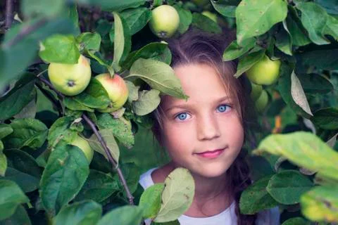 Among apple branches Foto stock