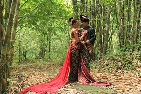 Among the bamboo trees Foto stock