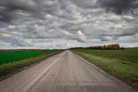 Among fields Stock Photos