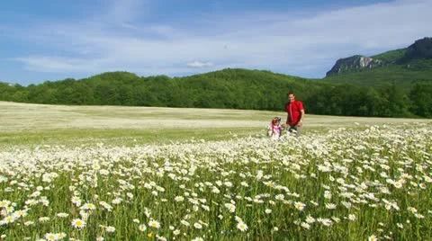 Among flowers Stock Footage 21946772