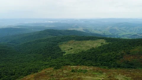 Among the forests, a plot without trees in the shape of a heart. Vídeos de archivo 159637581