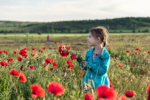 Among the spring field 스톡 사진