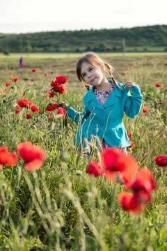 Among the spring field Stockfoto's