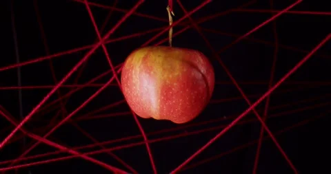 Among the stretched red threads on a black background, a red apple hangs in a 動画素材 276921040