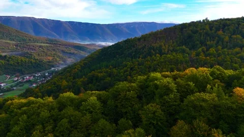 Among the Trees Stock Footage 297237832