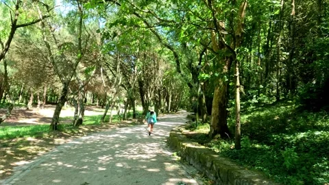 Among the Trees A Woman's Tranquil Walk Away Stock Footage 276735888
