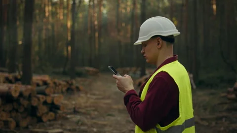 Among the trees in the working area of the forest there is a forest engineer Stock Footage 273702408