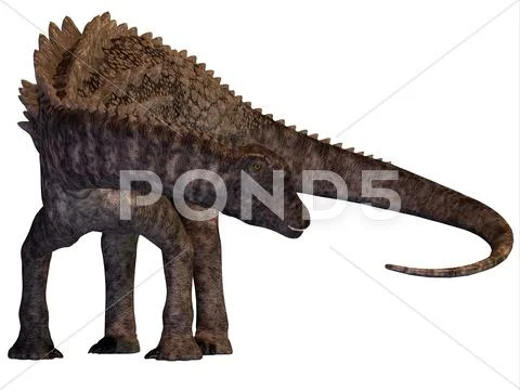 Ampelosaurus Armored Dinosaur: Royalty Free #56090654