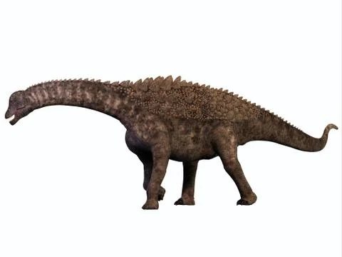 Ampelosaurus on White Stock Illustration