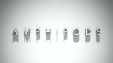 Amphipods 3D title animation with shadows on a white background Stock Footage 296529716