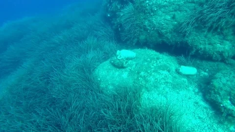 Amphorae appear 스톡 동영상 113752437