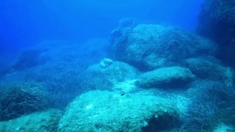 Amphorae in the distance 스톡 동영상 99828450