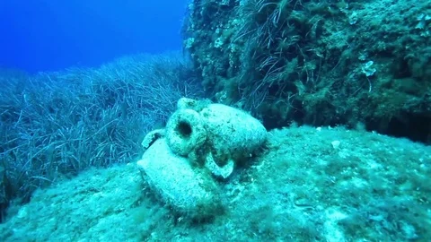 Amphorea close up 스톡 동영상 99828461