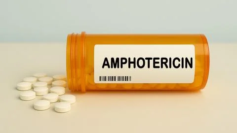 AMPHOTERICIN Stock Photos