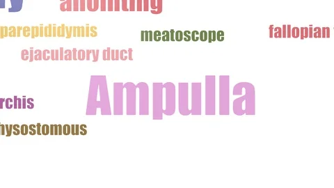 Ampulla Tagcloud Animated Isolated On White Stock-Footage 107207629