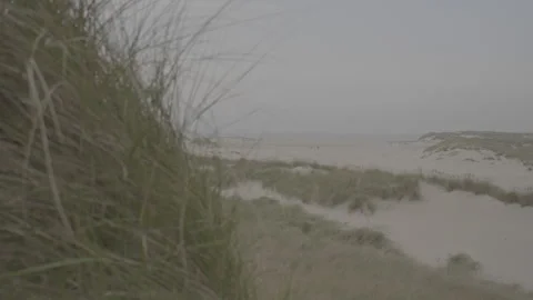 Amrum: Dunes and beach view Stock Footage 141655859