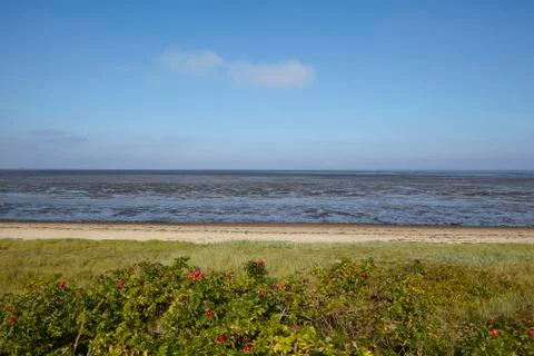 Amrum (Germany) - Mudflat Stock Photos