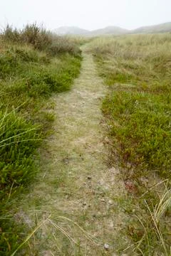 Amrum (Germany) - Path through grass-covered sand dunes Stock Photos