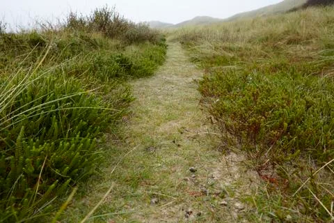 Amrum (Germany) - Path through grass-covered sand dunes Stock Photos