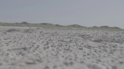 Amrum: Shells and dunes Stock Footage