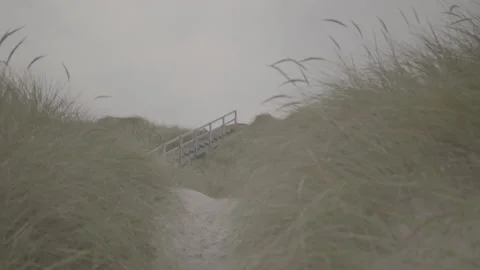 Amrum: Stairs between dunes Stock Footage 141656249