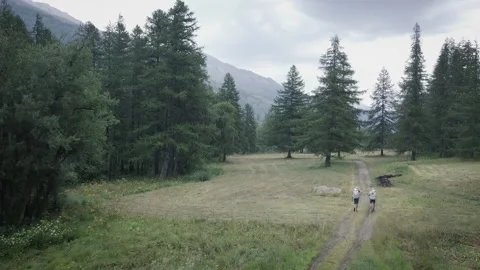 AMSFC7741 - Alps, Slovenia - March 01, 2019: two men walk on a path in the mount Stock Footage 132165553