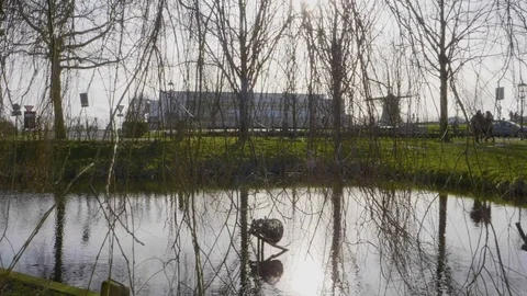 Amsterdam, branches of trees moving Stock Footage 85321976