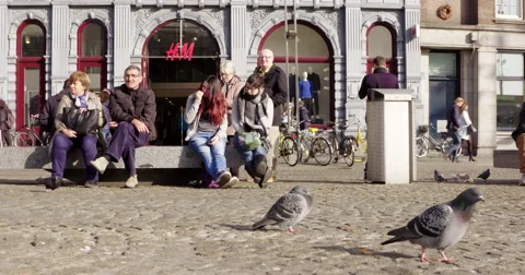 Amsterdam Dam square with pigeons 4K Stock Footage 56529471