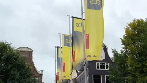 Amsterdam Dance Event ADE flags Stock-Footage 254943026