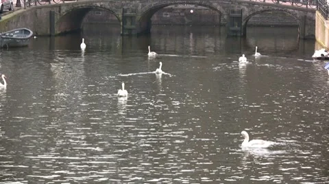 Amsterdam Stock Footage 7746368