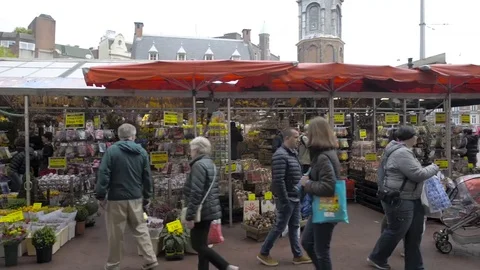 Amsterdam Stock Footage 75921373