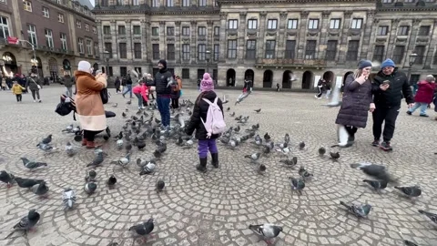 Amsterdam Stock Footage 232999826