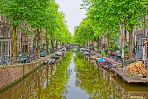 Amsterdam green trees reflection in river canal Foto stock