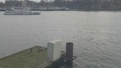 Amsterdam HD River Stock Footage 48987063