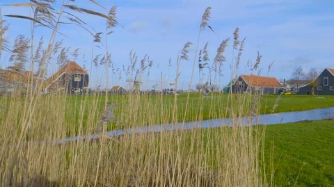 Amsterdam Landscape Stock Footage 85360915