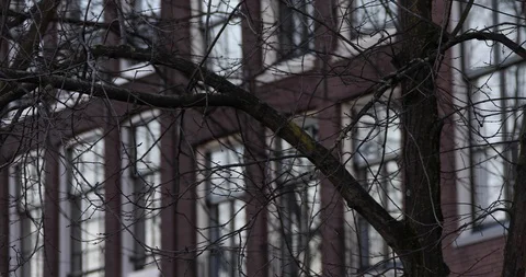 Amsterdam in Netherlands Video stock 99453316