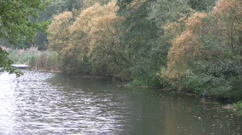 Amsterdam Park in Fall Stock Footage 108298