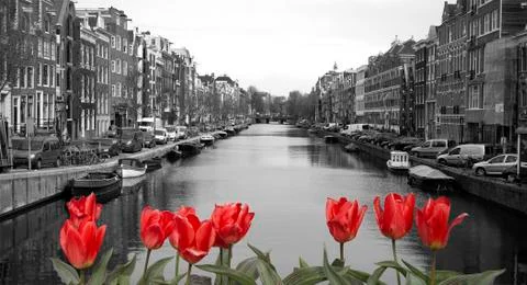 Amsterdam 스톡 사진
