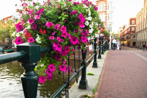 Amsterdam Stock Photos