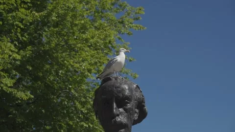 Amsterdam seagull on statue Stock Footage 193691182