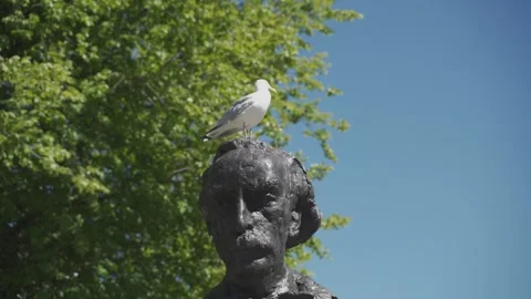 Amsterdam seagull on statue Stock Footage 193691183