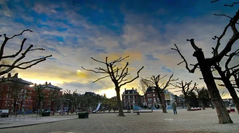 Amsterdam trees  Time laps Stock Footage