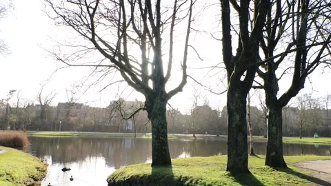Amsterdam Vondelpark Stock Footage 232939620